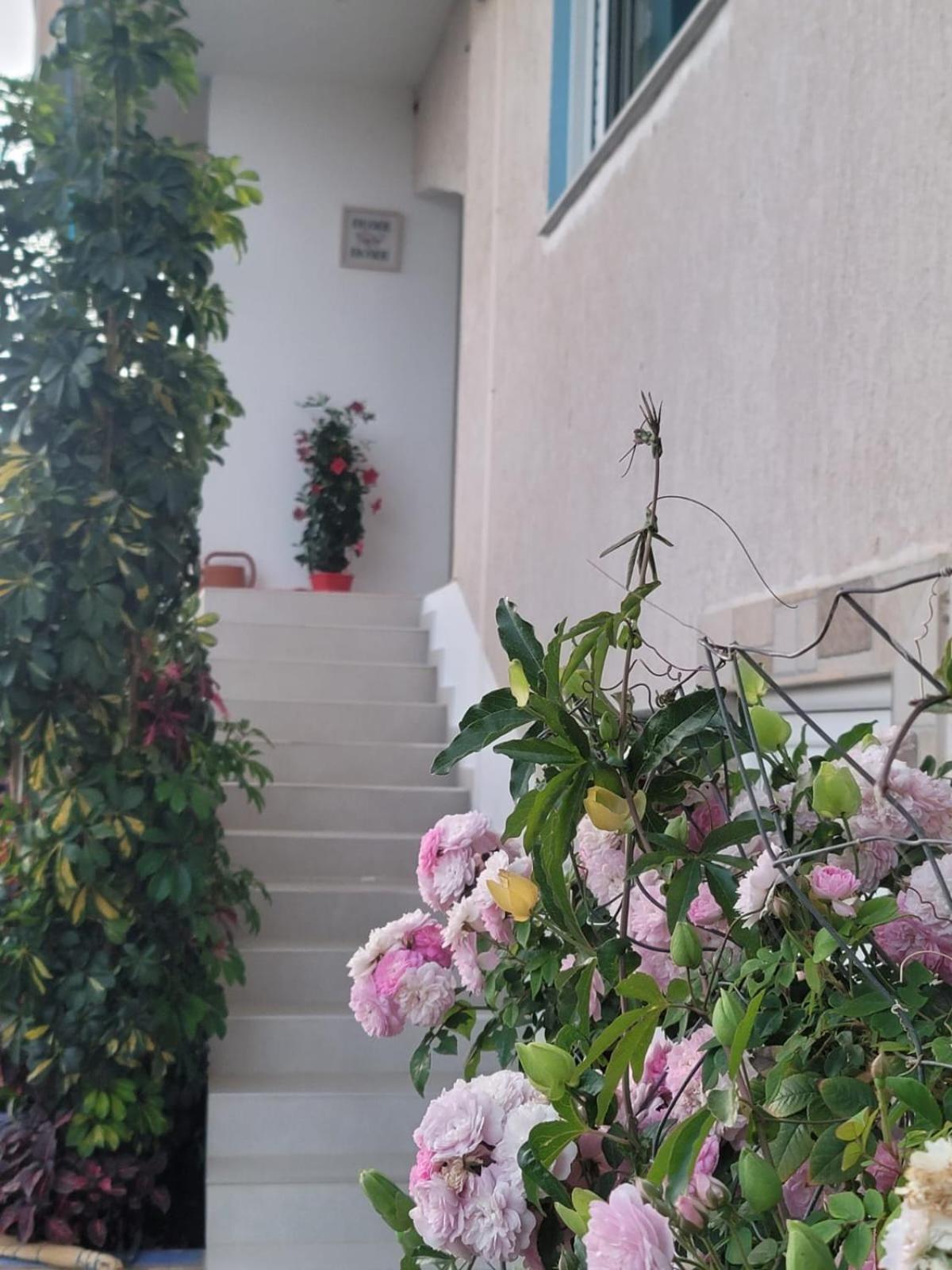 Selami Sea View Apartments Lukovë Exterior foto